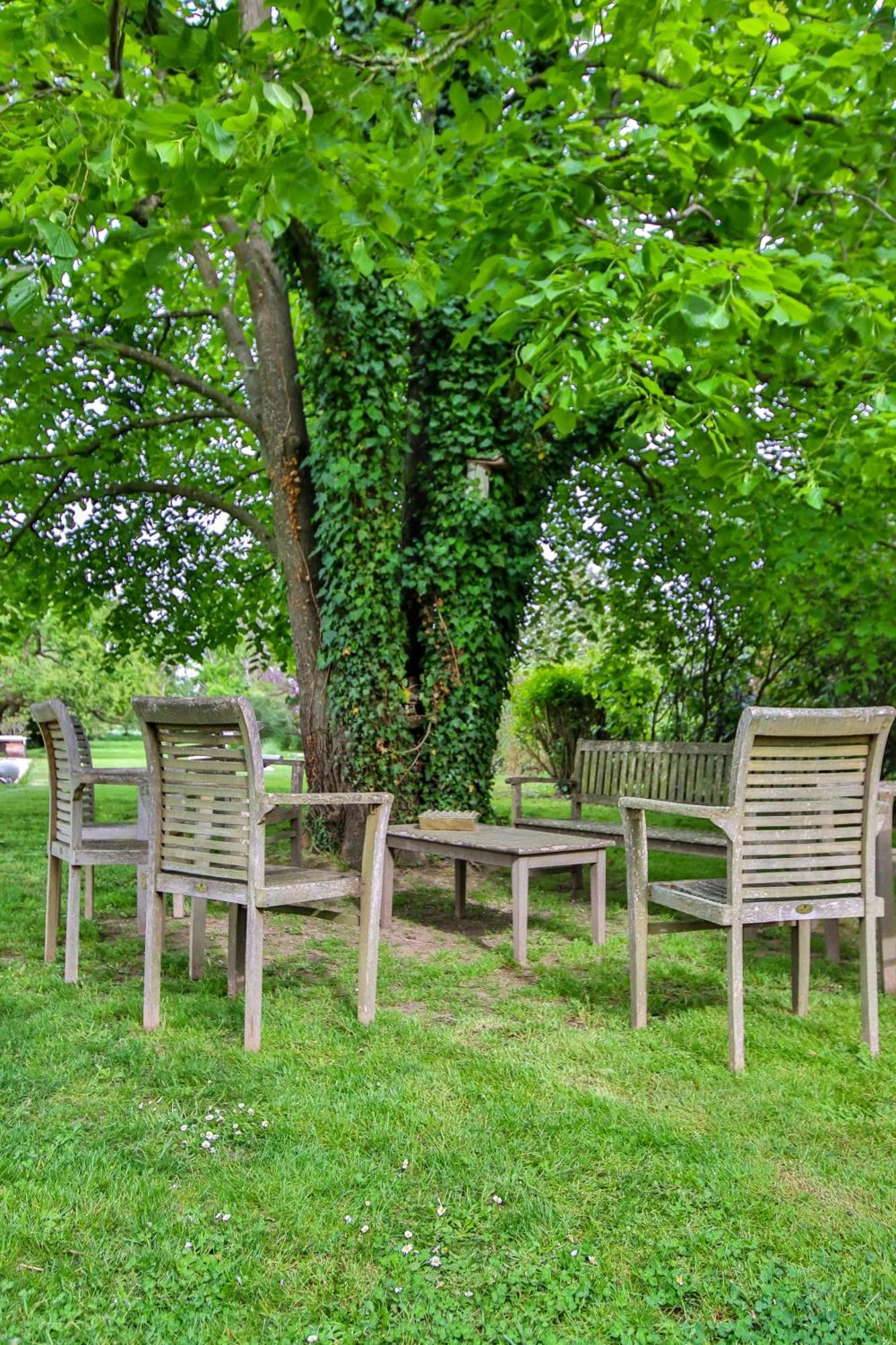 Gasthof Domaine D'aromm - D'hotes & - Piscine, Etangs & Animaux - Au Calme