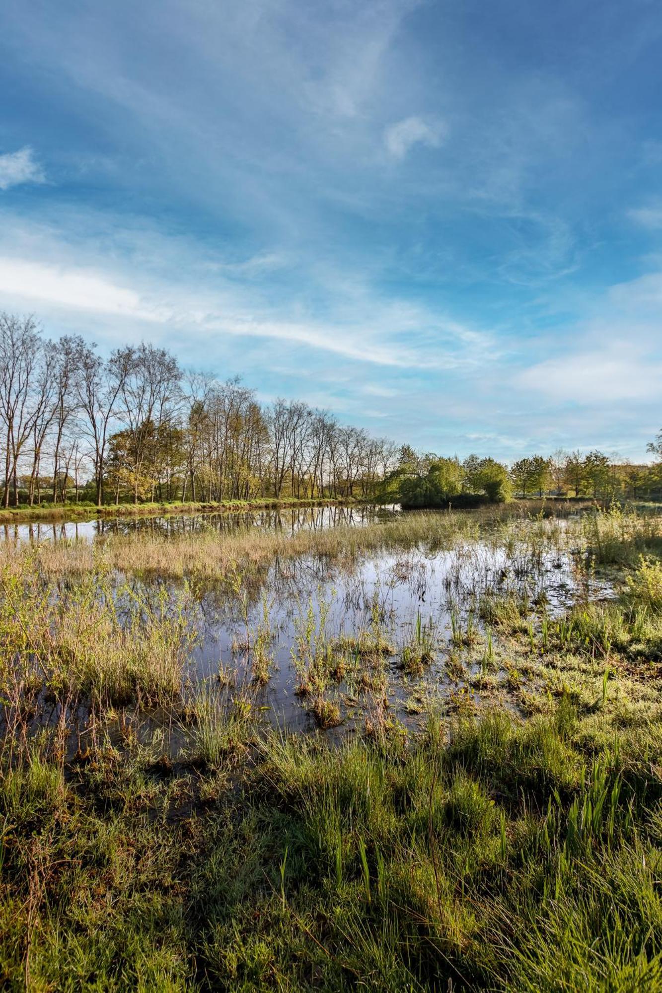 Domaine D'aromm - D'hotes & - Piscine, Etangs & Animaux - Au Calme Guest house Ouches