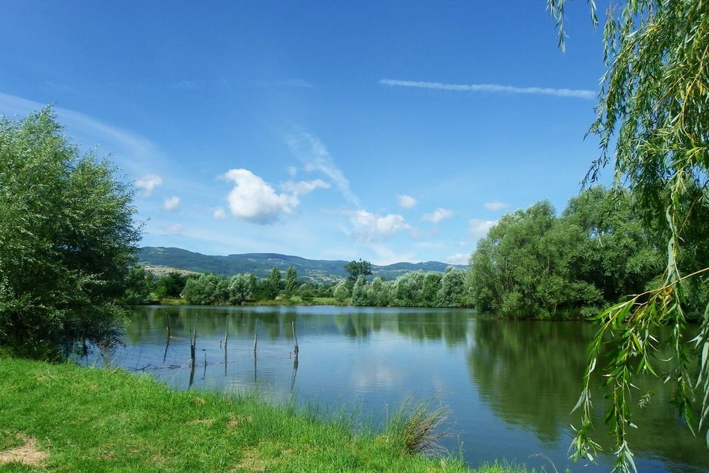 Domaine D'aromm - D'hotes & - Piscine, Etangs & Animaux - Au Calme * Ouches
