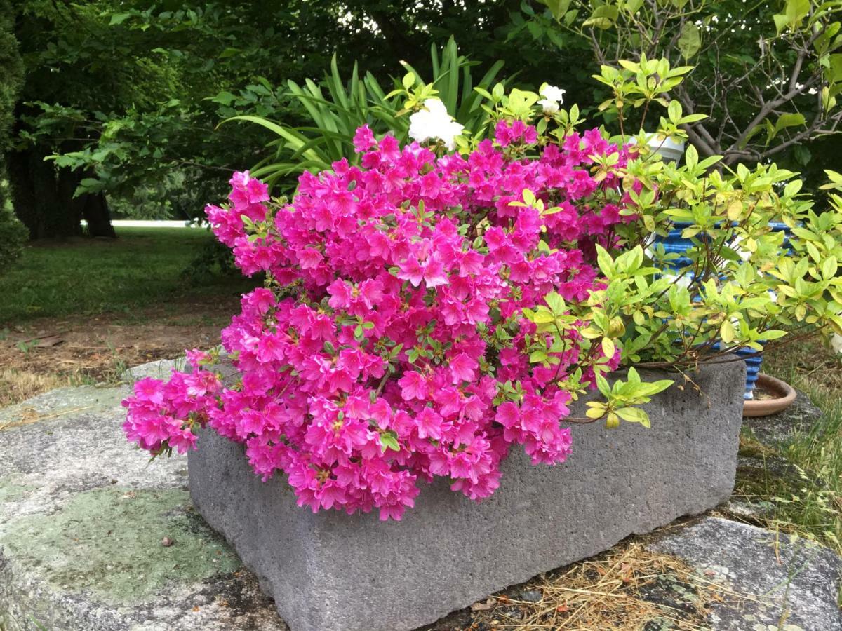 Domaine D'aromm - D'hotes & - Piscine, Etangs & Animaux - Au Calme Gasthof *